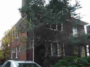 14036 Marlowe (40)_m.jpg